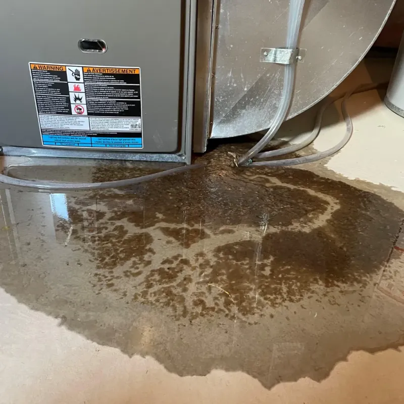 Appliance Leak Cleanup in Sheffield, AL